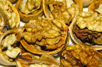 Как выбрать качественные грецкие орехи и как понять что орех испорчен