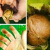 Как отмыть руки от кожуры грецкого ореха: 10 проверенных способов